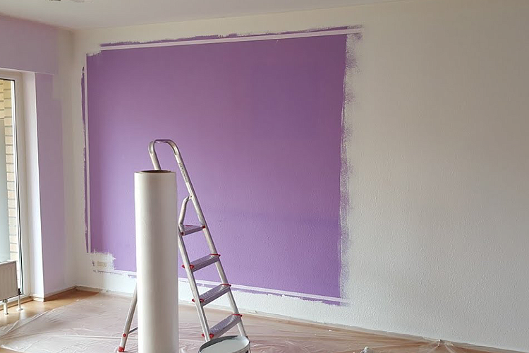What paint to choose for construction and renovation?
